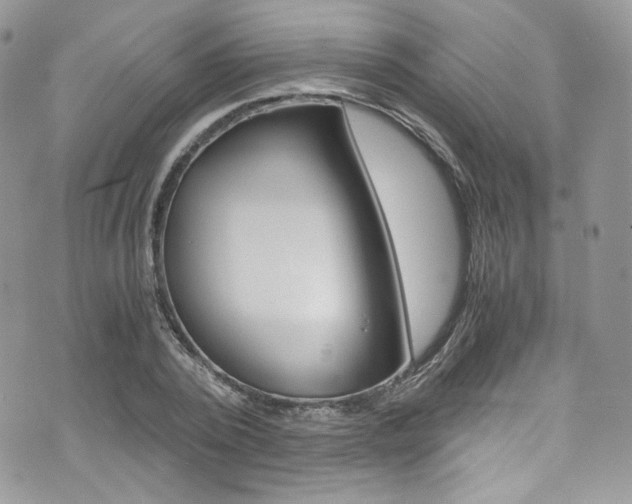 X0000073920784200608111004