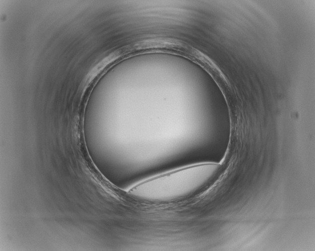 X0000073920786200608111004