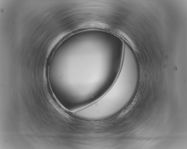 X0000073920788200608111004