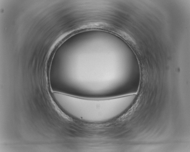 X0000073920792200608111004