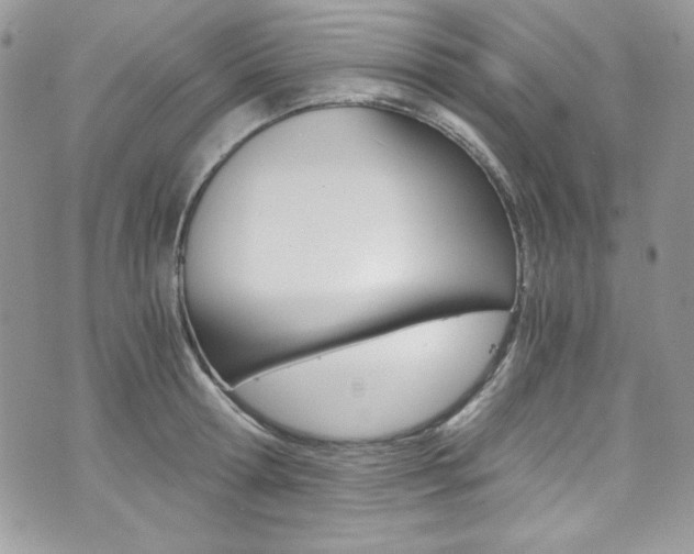 X0000073920802200608111003