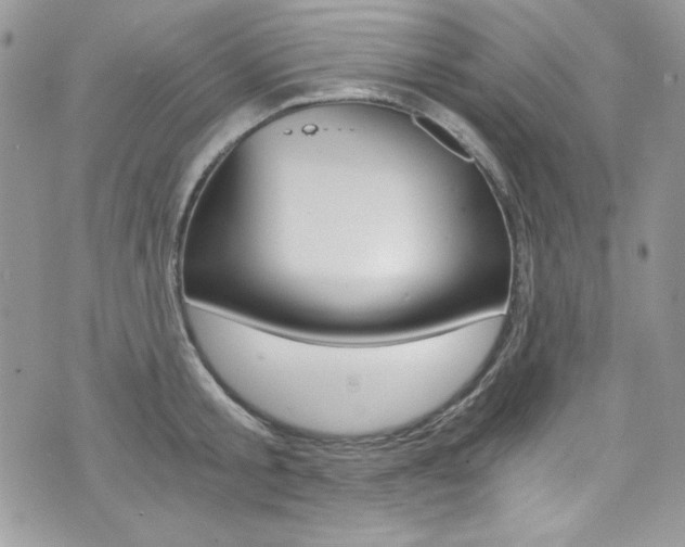 X0000073920805200608111003