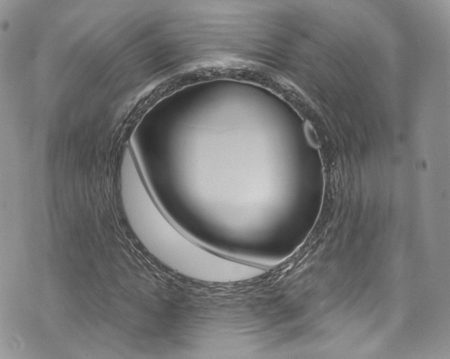 X0000073920822200608111003