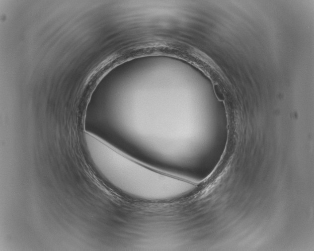 X0000073920826200608111003