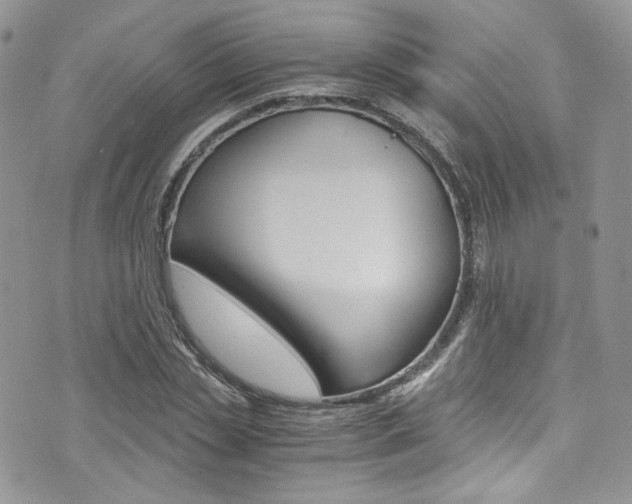 X0000073920829200608111003
