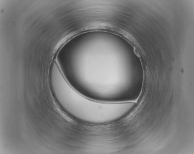 X0000073920842200608111003