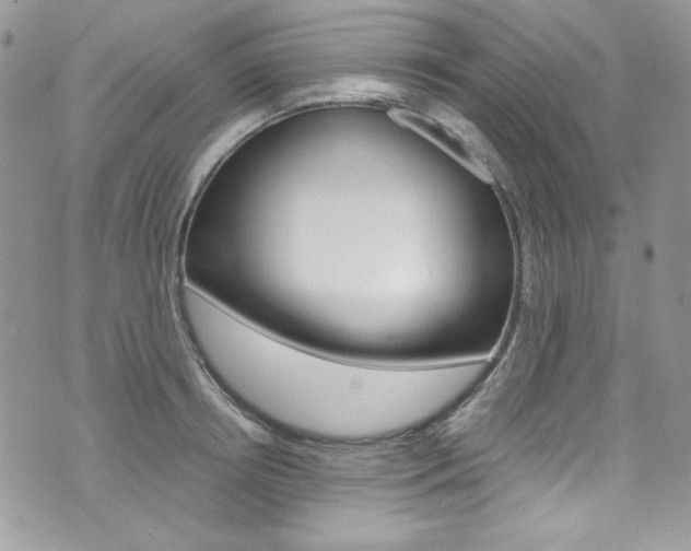 X0000073920850200608111003