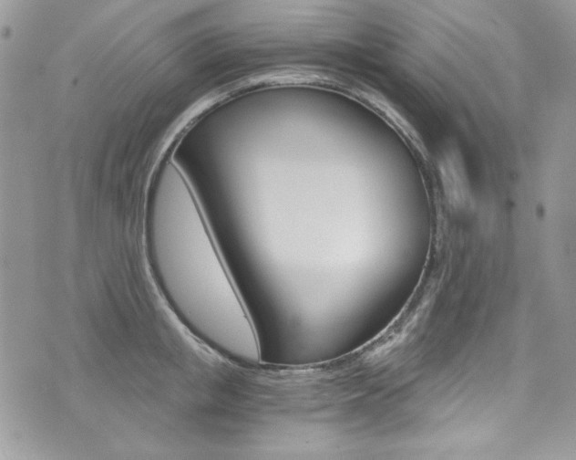 X0000073920853200608111003
