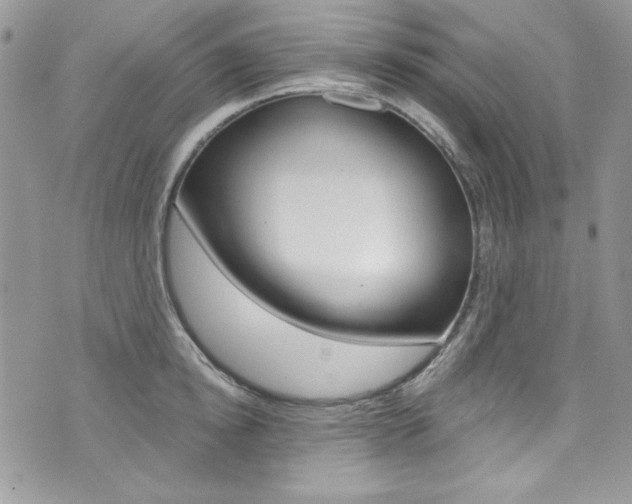 X0000073920854200608111003