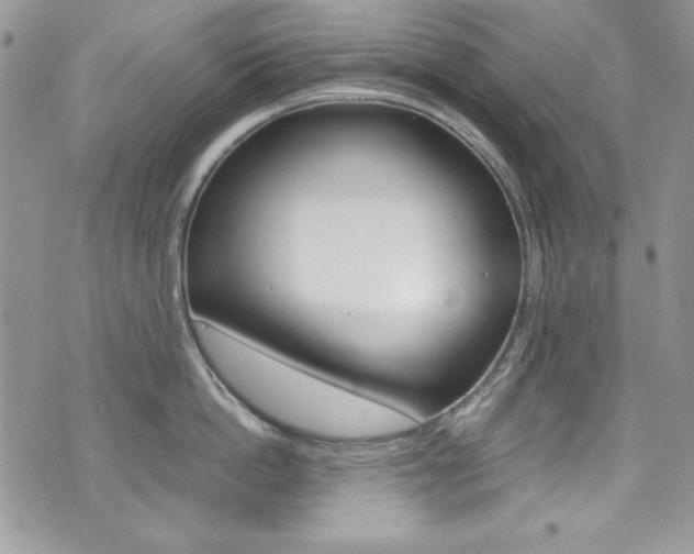 X0000073920862200608111003