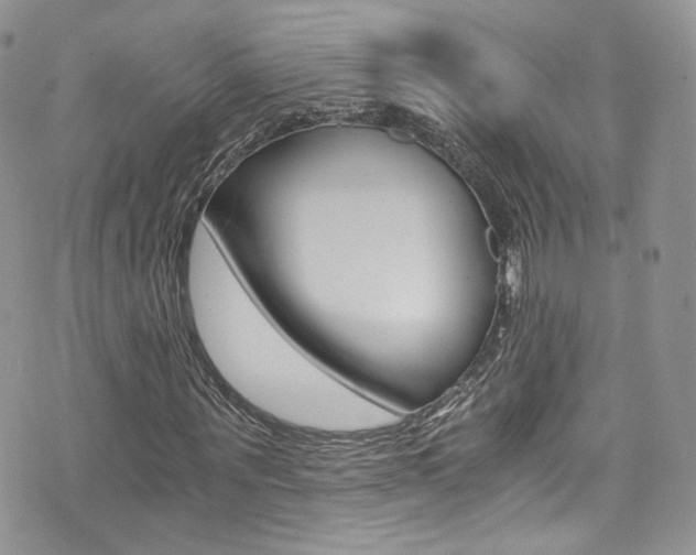 X0000073920867200608111002