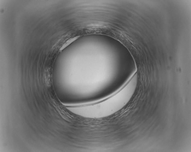X0000073920868200608111002