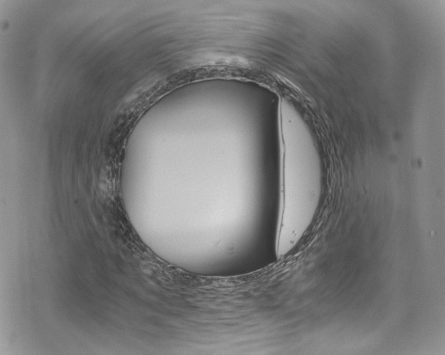 X0000073920869200608111002