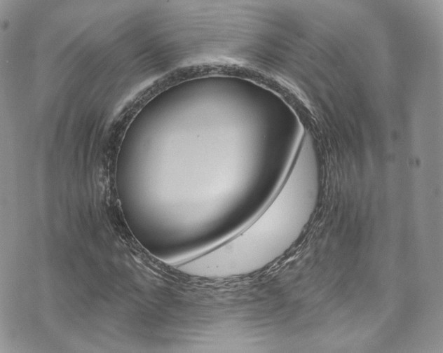 X0000073920872200608111002