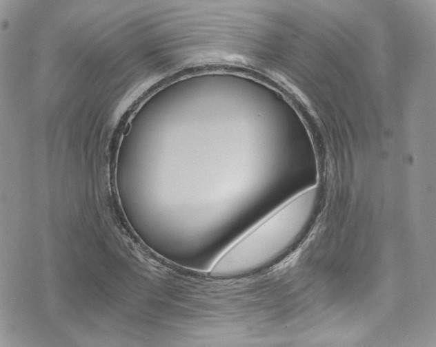 X0000073920877200608111002