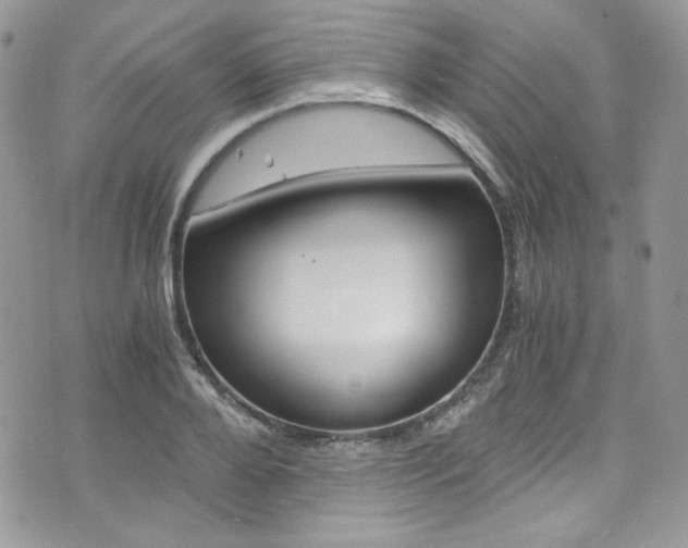 X0000073920888200608111002