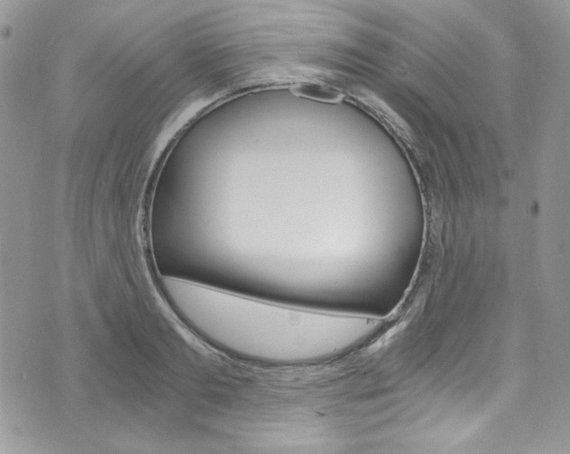X0000073920893200608111002