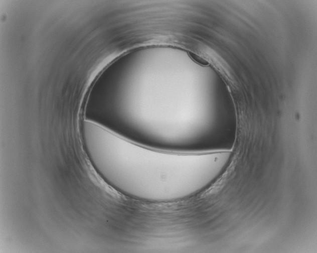 X0000073920900200608111002
