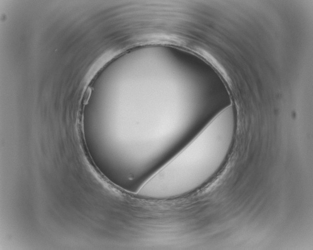 X0000073920901200608111002