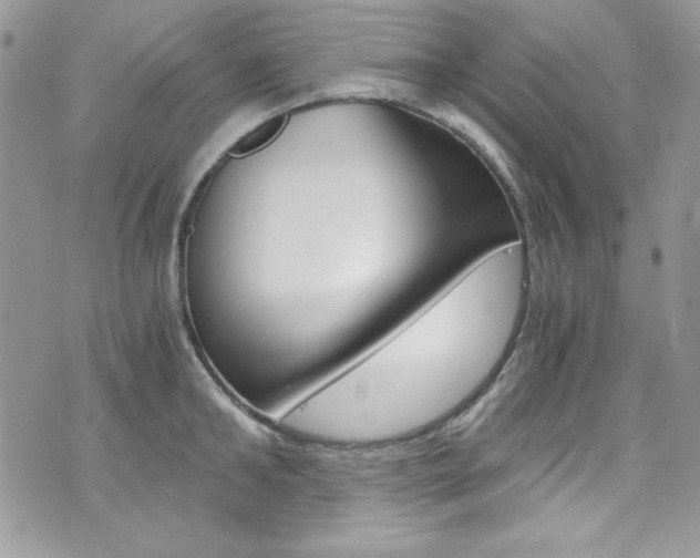 X0000073920902200608111002