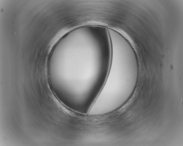 X0000073920910200608111002