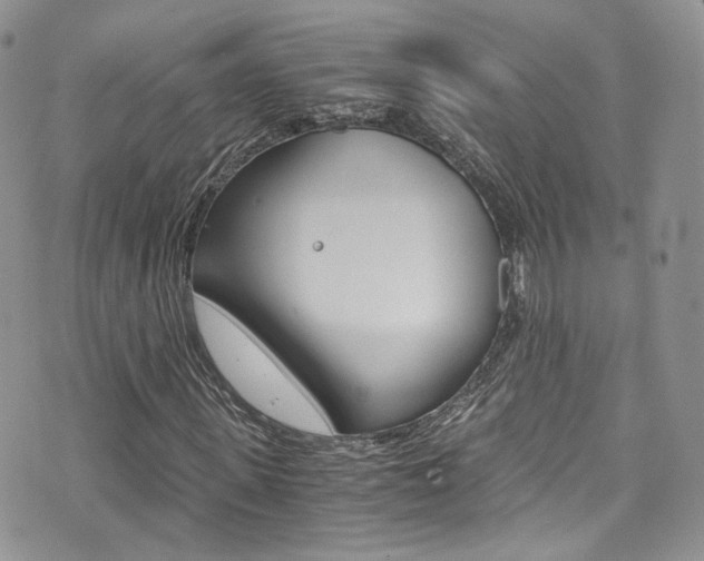X0000073920915200608111001