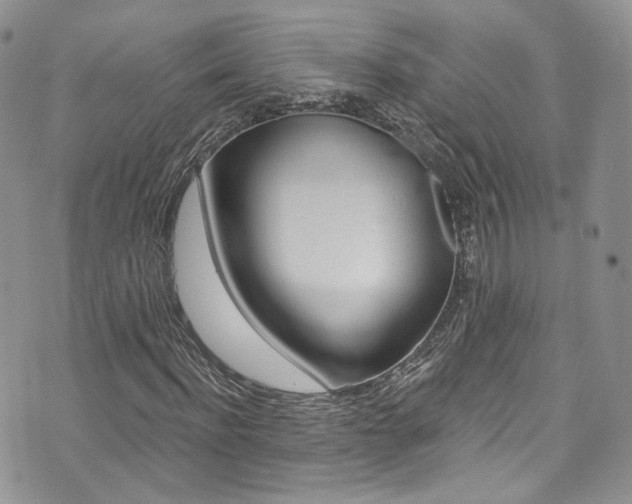 X0000073920916200608111001