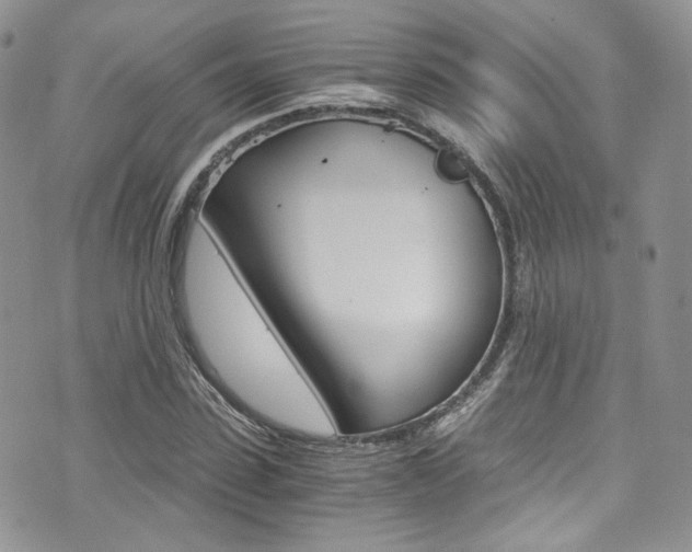 X0000073920923200608111001