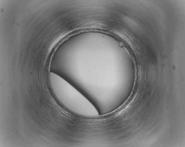 X0000073920925200608111001