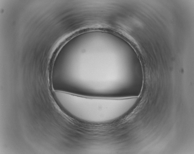 X0000073920935200608111001