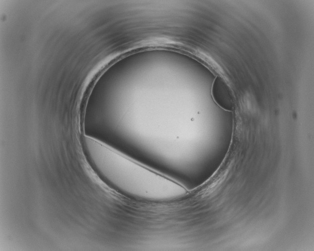 X0000073920939200608111001