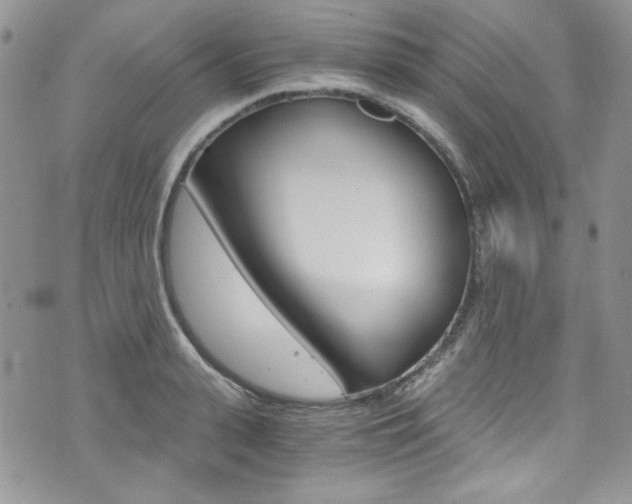 X0000073920943200608111001
