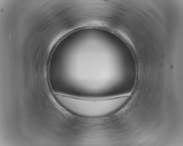 X0000073920944200608111001