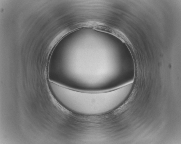 X0000073920946200608111001