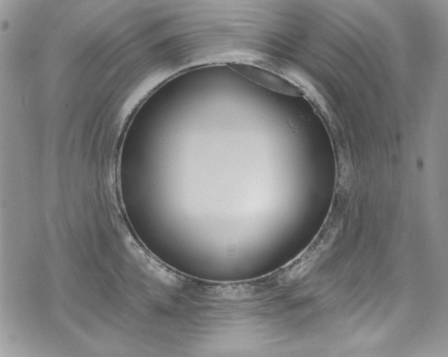 X0000073920952200608111002