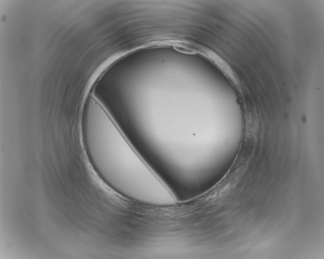 X0000073920955200608111002