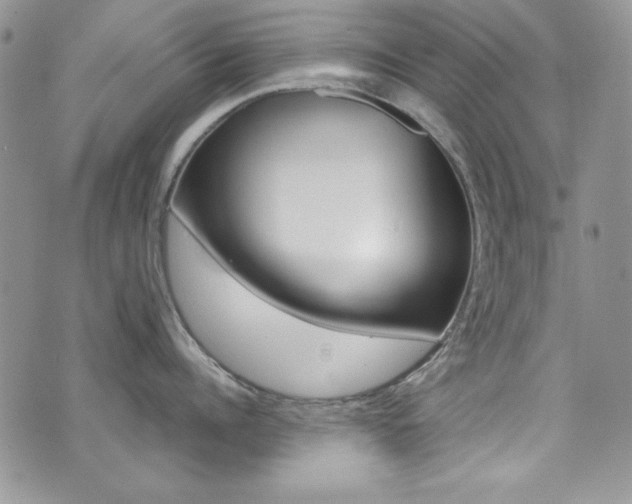 X0000073920960200608111002
