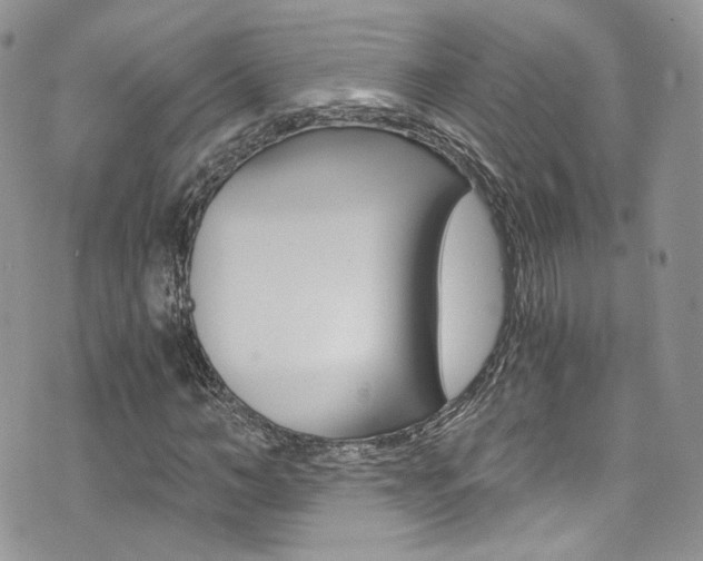 X0000073920966200608111001