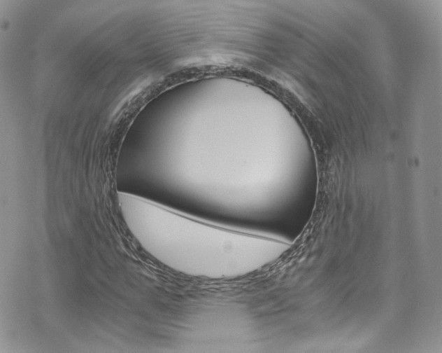 X0000073920967200608111001