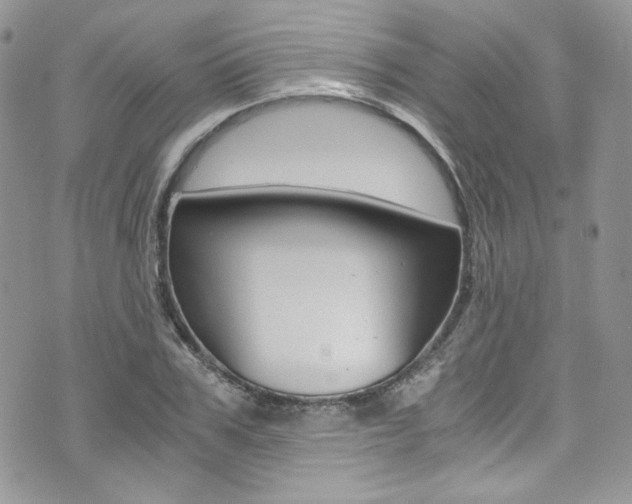 X0000073920979200608111001