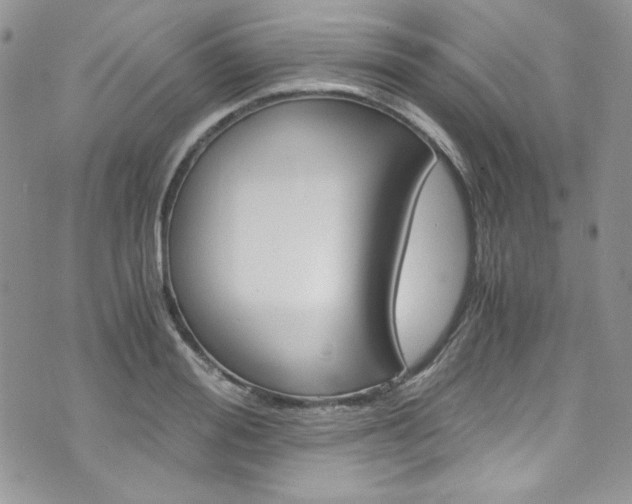 X0000073920988200608111000