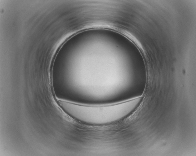 X0000073920996200608111000