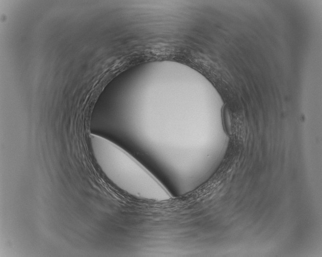 X0000073921009200608110959