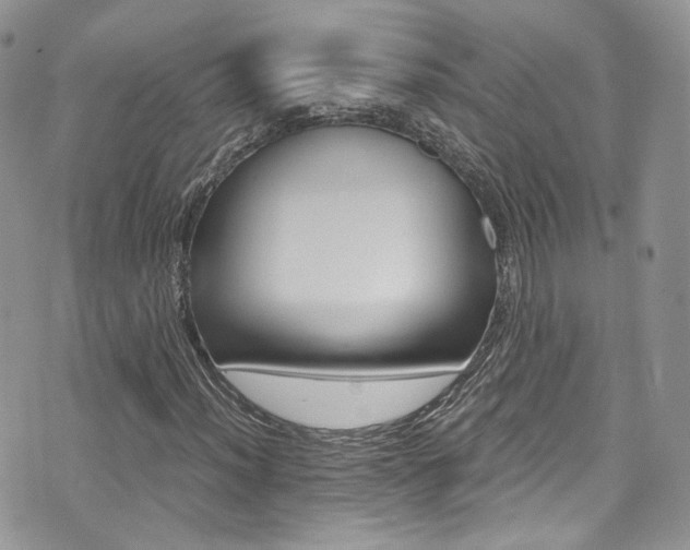 X0000073921012200608110959