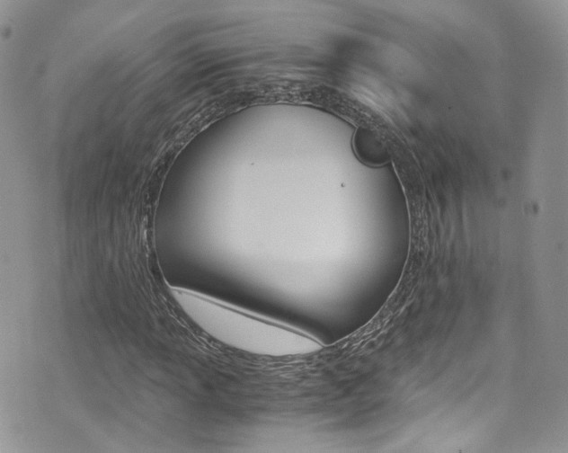 X0000073921013200608110959