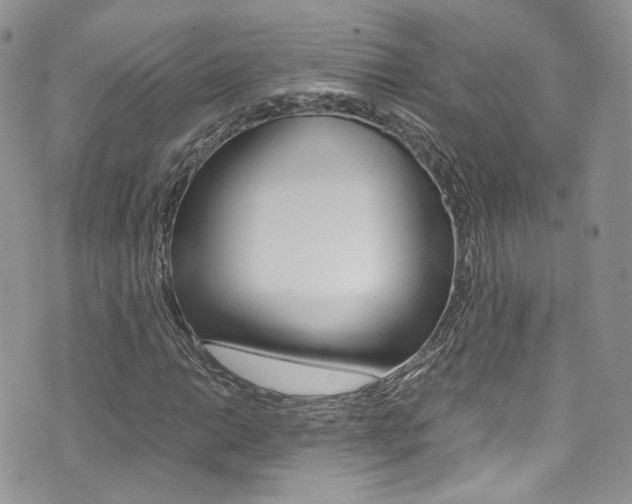 X0000073921014200608110959