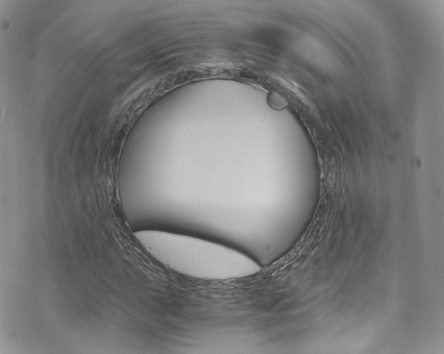 X0000073921015200608110959