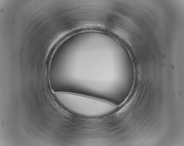 X0000073921021200608111000