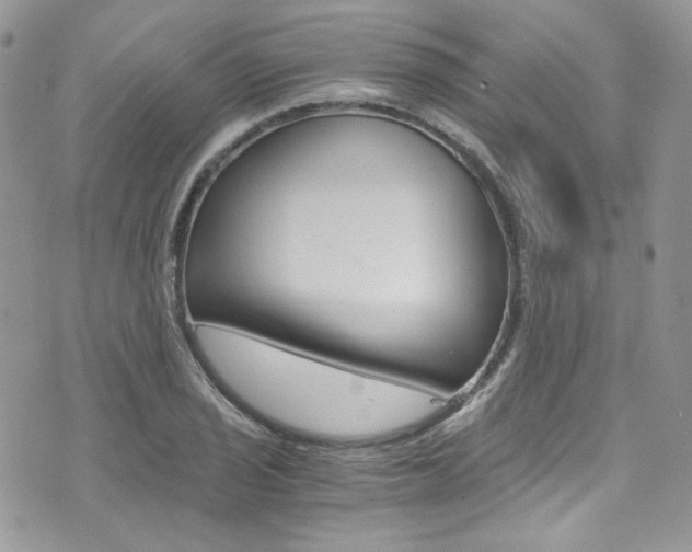 X0000073921029200608111000