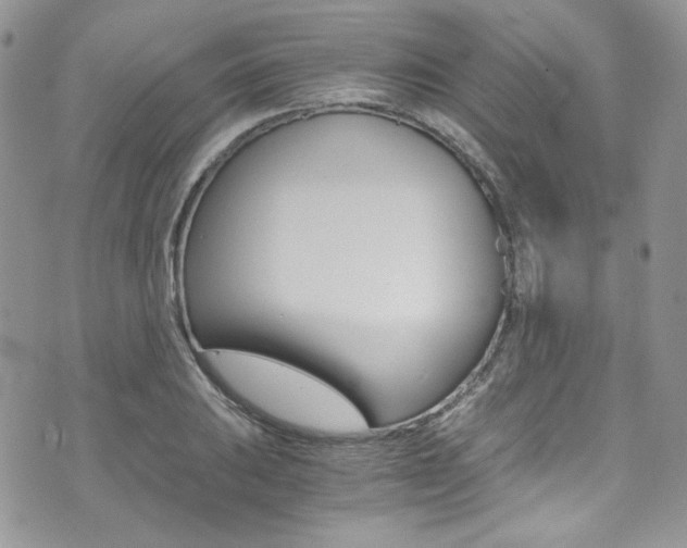 X0000073921031200608111000